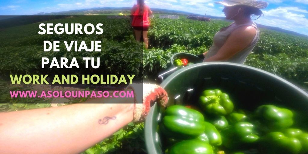 seguros para work and holiday