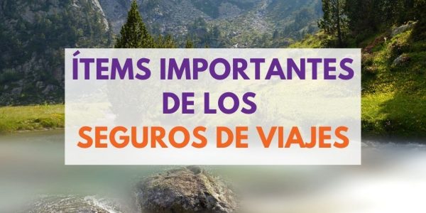 ítem Seguros de viajes